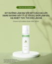 Xịt Dưỡng Cấp Ẩm, Làm Dịu, Dưỡng Sáng, Chống Lão Hóa Elravie HyCiCaMue Green Mist 100ml