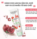 Tẩy TBC mặt thiên nhiên thuần chay Evoluderm tinh chất quả lựu 150g