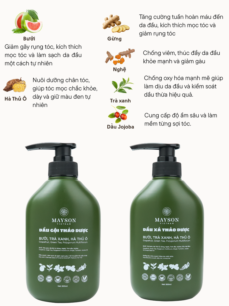 Cặp Dầu Gội Xả Bưởi - Hà Thủ Ô - Trà Xanh - Gừng Phục Hồi Tóc MaySon 500gr